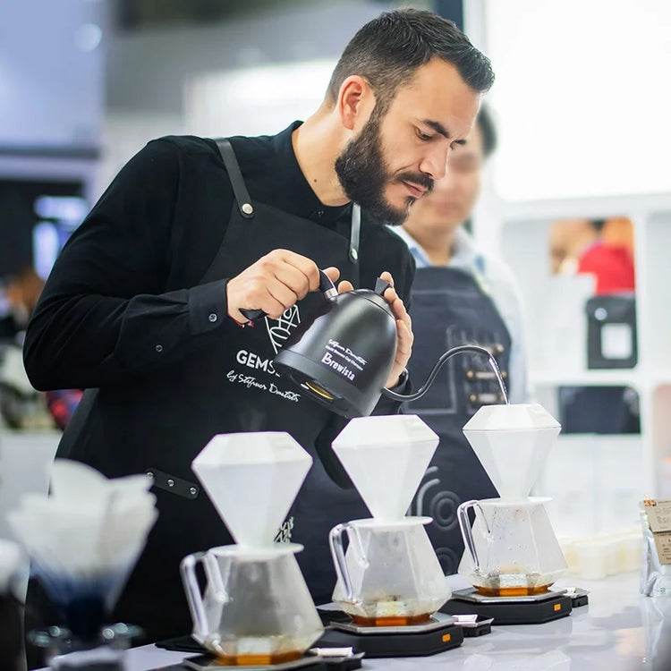 BREWISTA X Gem Coffee Dripper ceramic